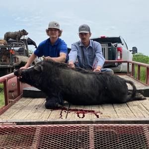 Meet your Posher, Cody